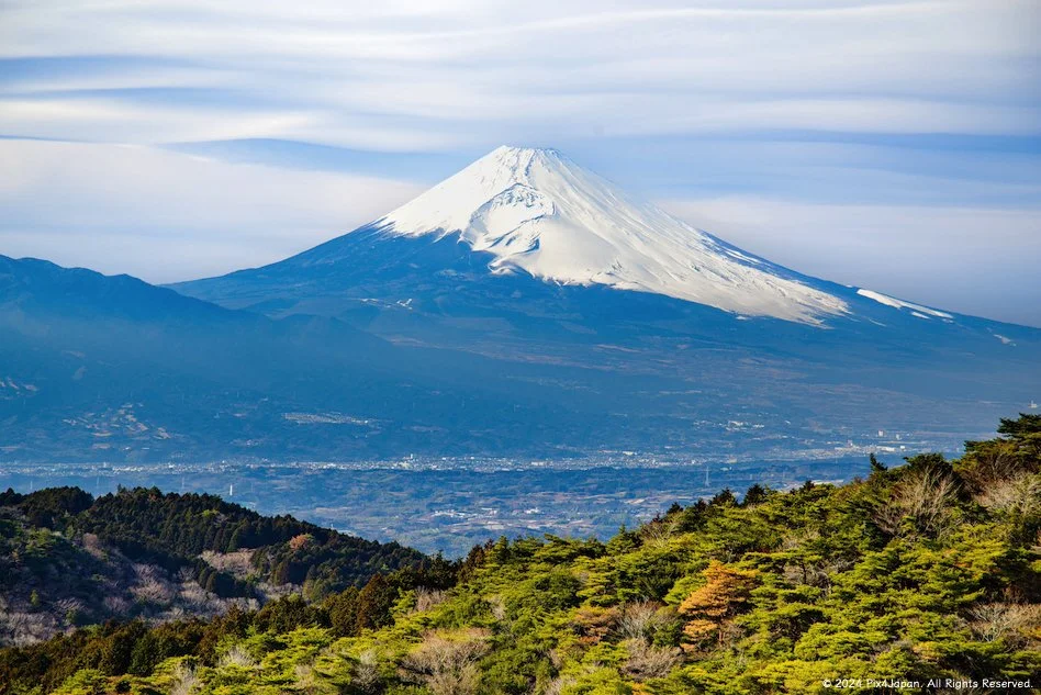 A Scenic Drive through Izu: Exploring the Izu Skyline — Pix4Japan